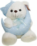 Plush Bear 30 cm