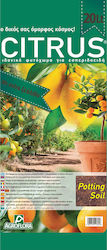 Citrus For Citrus Plant Soil 2.5kg 20lt