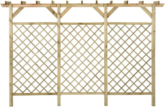 Καφασωτό Κήπου από Ξύλο 300x50x200cm Καφέ 318417