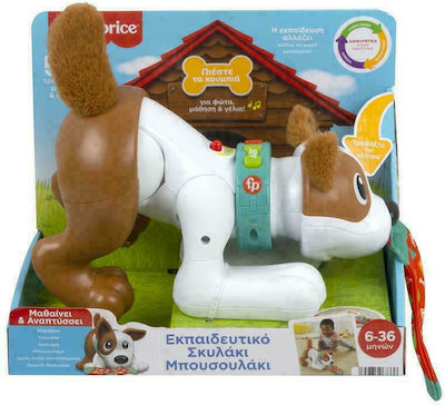 Fisher Price Animal Σκυλάκι Μπουσουλάκι with Light and Sounds for 6++ Months