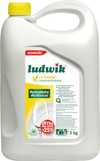 Ludwik Λεμόνι Επαγγελματικό 5lt