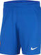 Nike Atletico Madrid Men's Football Shorts