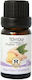 Herbstore Edible Ginger Essential Oil 100ml