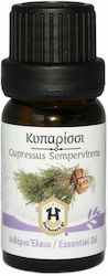 Herbstore Essential Oil Cypress 500ml