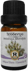 Herbstore Teatree Ätherisches Öl Teebaum 100ml