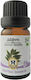 Herbstore Βιολογικό Αιθέριο Έλαιο Δάφνη Βρώσιμο 50ml