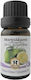 Herbstore Musk Lemon Essential Oil Lime Edible ...