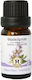 Herbstore Edible Sage Essential Oil 100ml