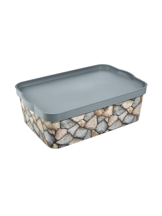 TnS Plastic Storage box with Cap Multicolour 45x30x14.5cm 1pcs