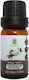 Herbstore Βανίλια σε Υγρή Μορφή 100ml