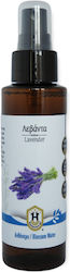 Herbstore Apă Florală De Lavandă 1000ml Herbstore Apă Florală De Lavandă 1000ml