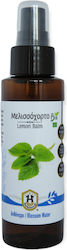 Herbstore Ανθόνερο Μελισσόχορτου 100ml