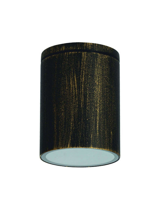Aca Waterproof Outdoor Ceiling Spot GU10 in Bla...