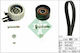 INA Set Curea Motor Auto pentru Fiat 500L / 500X Suzuki Vitara 530056110