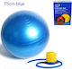 King Lion Pilates Ball 75cm Blue