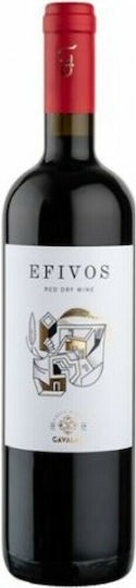 Oinopoieio Gavala Biologisch Wein Jugendlicher Rot Trocken 750ml