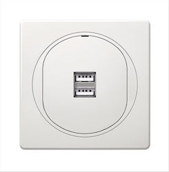 ERW-EON-E6161.00 Power Socket with 2 USB Ports ERW-EON-E6161.00 Power Socket with 2 USB Ports