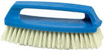 Cyclops Plastic Hand Cleaning Brush Blue No24 Hard