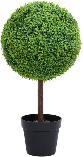 Buxus Baum im Freien Grün vidaXL