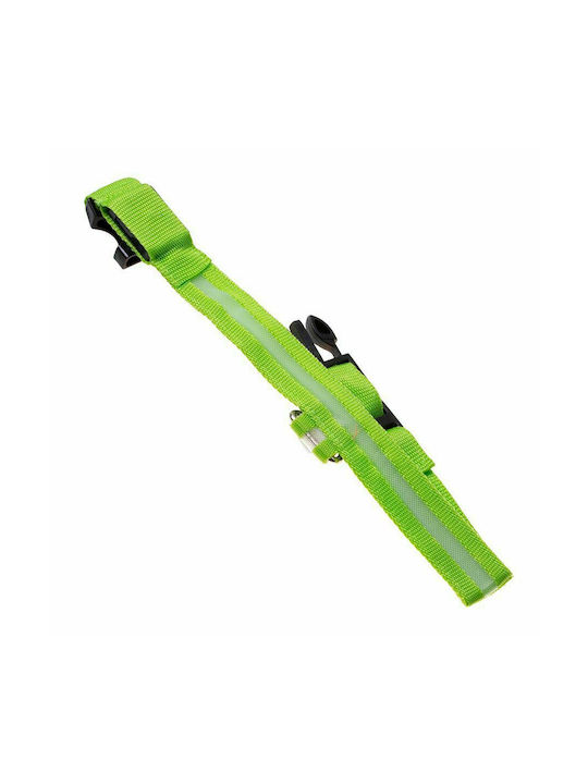 LED dog collars, size XL - green Flat