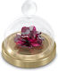 Swarovski Διακοσμητικό Λουλούδι Rose Bell Jar από Κρύσταλλο Κόκκινο με Γυάλινη Καμπάνα 8.1x8.1x8.8cm