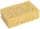 Carlinea Sponges Washing Car 12x21x6cm
