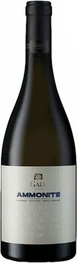 Gaia Wines Κρασί Ammonite Ασύρτικο Λευκό Ξηρό Σαντορίνης 750ml