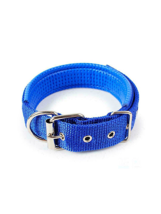 Dog Collar In Blue Colour 30mm x 60cm