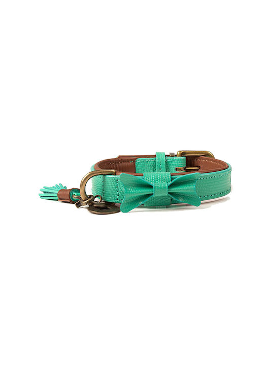 DWAM Boomer Guler pentru câini în culoarea Verde Mici 20mm x 28 - 34cm