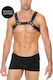Shots Ouch! Buckle Bulldog Harness