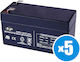 B&P UPS Batterie mit Kapazität 1.3Ah und Spannung 12V PN12706 1Stück