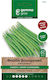 Gemma Seeds Bean Industrial 10gr