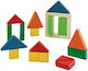 Plan Toys Τουβλάκια Tα Κλάσματα Ξύλινα για 2+ Ετών 23τμχ