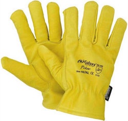 POLAR Leather Gloves - Yellow