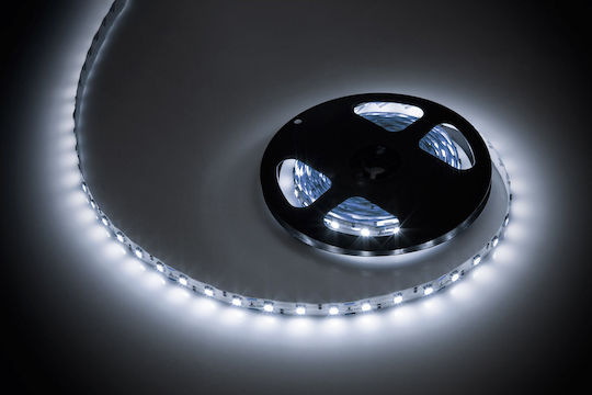 Rebel Bandă LED 12V Alb Rece Lumină 5m Tip SMD5050