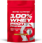 Scitec Nutrition 100% Whey Professional with Added Amino Acids Fără gluten cu Aromă de Ciocolată cu alune 500gr