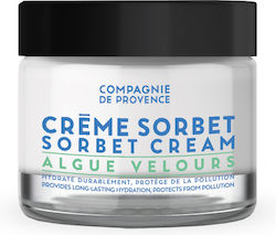 Compagnie De Provence Velvet Seaweed Sorbet Face Cream 50ml