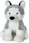 Plush Dog Husky 29 cm