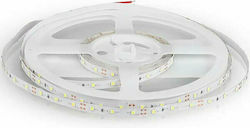 V-TAC LED Streifen Versorgung 12V mit Kaltweiß Licht Länge 5m und 60 LED pro Meter SMD3528