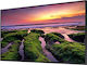 Samsung QB55B Digitale Anzeigetafel LCD VA 4K UHD 55"