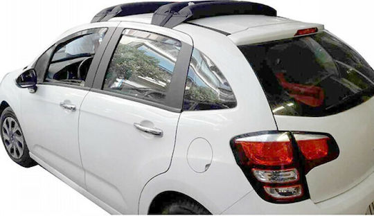 HandiWorld für Citroen C3 2009-2016 (mit Dachträgerfüßen)