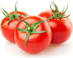 Bejo Tomsk F1 Seeds Tomatoς 1000pcs