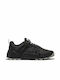 Timberland Solar Wave LT Sneakers Black