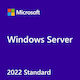 Microsoft Windows Server 5 2022 5 Device Cals Αγγλικά