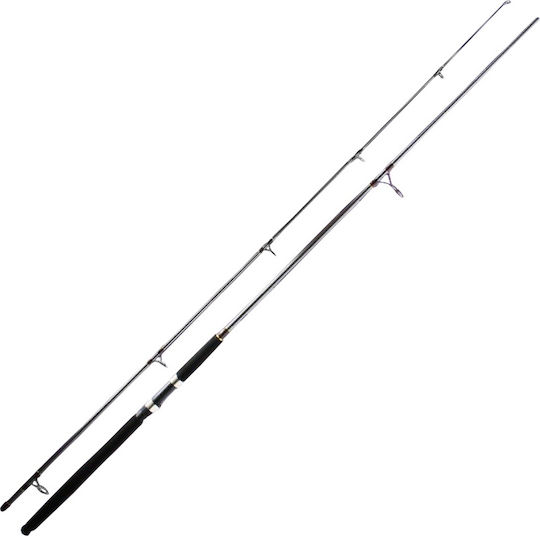 Pioneer Advantage Fishing Rod for Spinning 3m 15-40gr