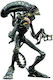 Weta Workshop Alien Xenomorph Warrior Action Figure Height 18cm in Scale 1:10