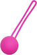 E09 Kegel Vagina Exerciser Ball Purple