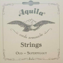 Aquila 70O Μονή Χορδή
