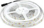 V-TAC Rezistentă la apă Bandă LED Alimentare 12V cu Lumină Alb Natural Lungime 5m și 60 LED-uri pe Metru SMD5050