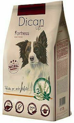 Dibaq Dican Up Fortress 14kg Dibaq Dican Up Fortress 14kg